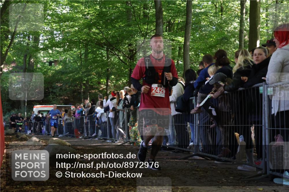 28.09.2025 - 33. Volkslauf durch das schöne Alstertal Strokosch-Dieckow http://msf.ph/oto/8972976 28.09.2025 12:08:17 Ziel 1684, 1702, 2429 meine-sportfotos.de