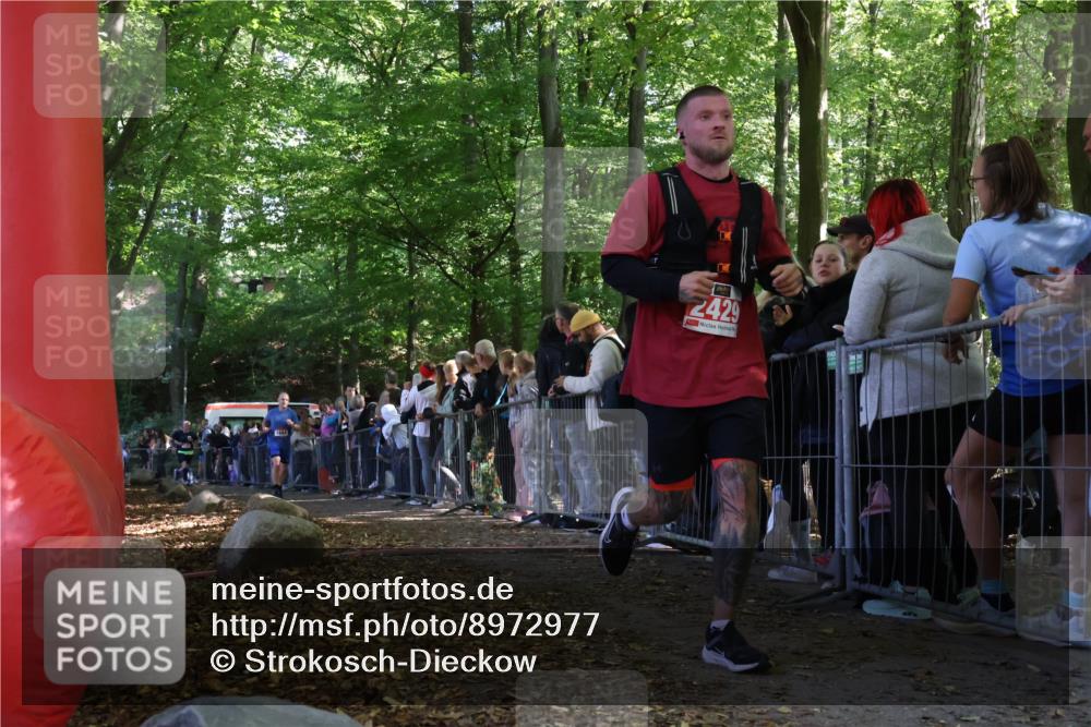 28.09.2025 - 33. Volkslauf durch das schöne Alstertal Strokosch-Dieckow http://msf.ph/oto/8972977 28.09.2025 12:08:18 Ziel 1128, 1684, 1702, 2429 meine-sportfotos.de