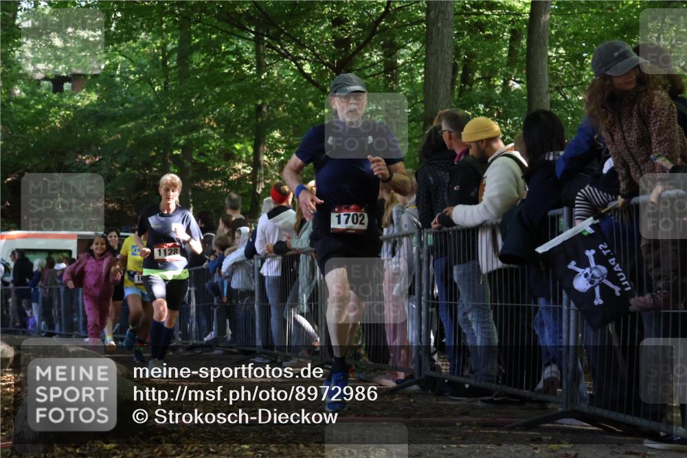 28.09.2025 - 33. Volkslauf durch das schöne Alstertal Strokosch-Dieckow http://msf.ph/oto/8972986 28.09.2025 12:08:25 Ziel 1054, 1067, 1128, 1702, 2578 meine-sportfotos.de