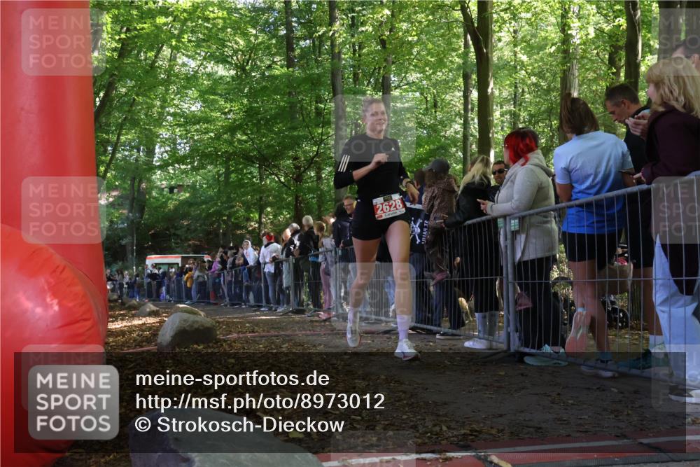 28.09.2025 - 33. Volkslauf durch das schöne Alstertal Strokosch-Dieckow http://msf.ph/oto/8973012 28.09.2025 12:09:05 Ziel 2628 meine-sportfotos.de