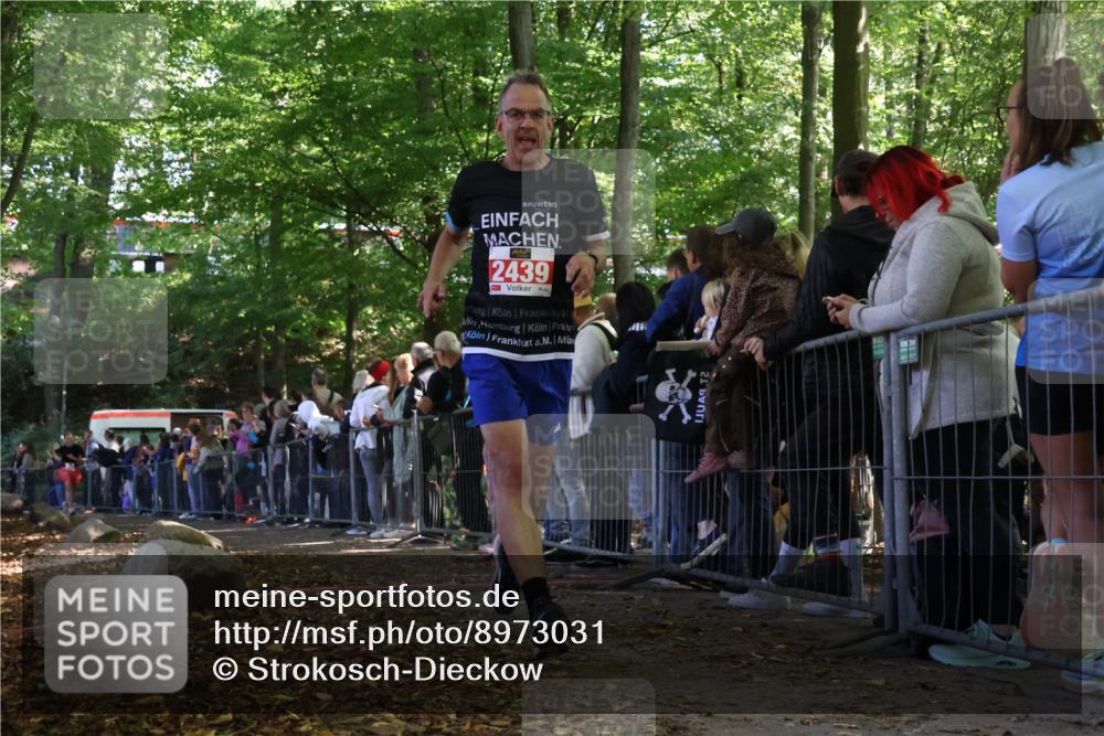 28.09.2025 - 33. Volkslauf durch das schöne Alstertal Strokosch-Dieckow http://msf.ph/oto/8973031 28.09.2025 12:09:47 Ziel 2439, 2587 meine-sportfotos.de