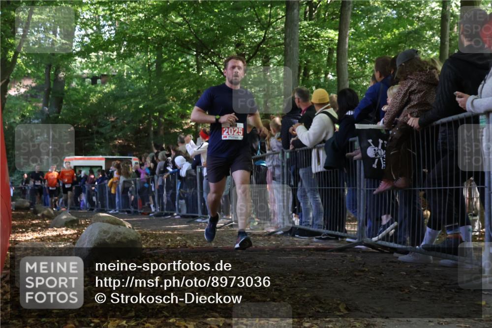 28.09.2025 - 33. Volkslauf durch das schöne Alstertal Strokosch-Dieckow http://msf.ph/oto/8973036 28.09.2025 12:09:57 Ziel 1693, 1694, 2025, 2311, 2313 meine-sportfotos.de