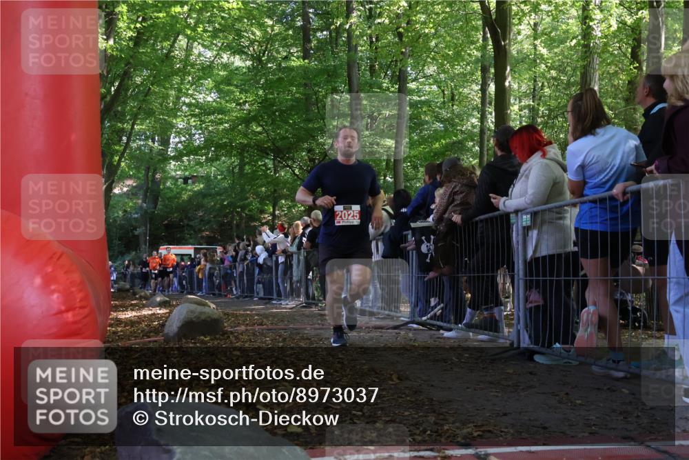 28.09.2025 - 33. Volkslauf durch das schöne Alstertal Strokosch-Dieckow http://msf.ph/oto/8973037 28.09.2025 12:09:57 Ziel 1693, 1694, 2025, 2311, 2313 meine-sportfotos.de