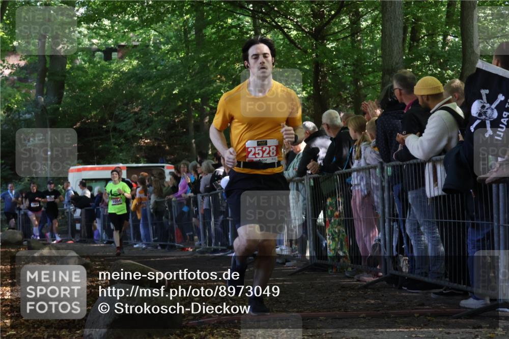 28.09.2025 - 33. Volkslauf durch das schöne Alstertal Strokosch-Dieckow http://msf.ph/oto/8973049 28.09.2025 12:10:17 Ziel 1051, 1064, 2135, 2271, 2528, 2588 meine-sportfotos.de