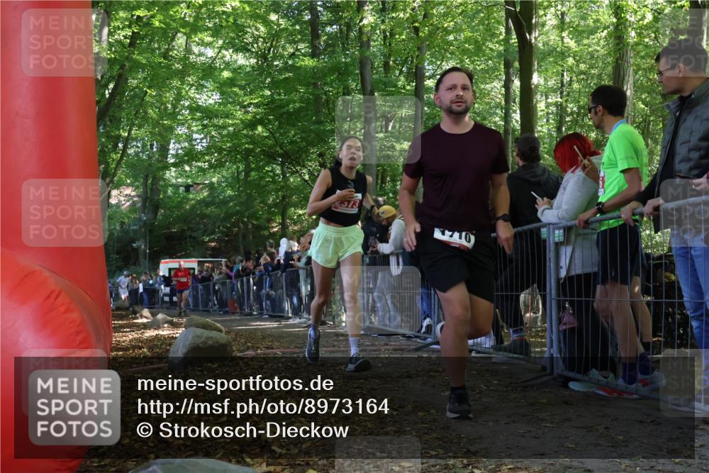 28.09.2025 - 33. Volkslauf durch das schöne Alstertal Strokosch-Dieckow http://msf.ph/oto/8973164 28.09.2025 12:12:38 Ziel 1041, 1710, 1714, 2373 meine-sportfotos.de