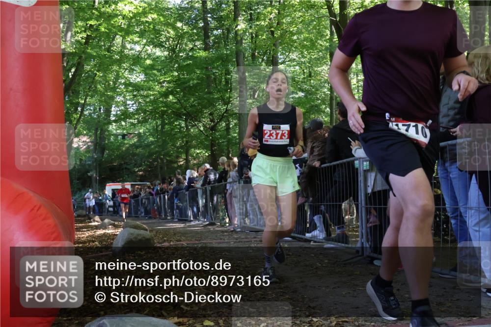 28.09.2025 - 33. Volkslauf durch das schöne Alstertal Strokosch-Dieckow http://msf.ph/oto/8973165 28.09.2025 12:12:39 Ziel 1041, 1714, 2373 meine-sportfotos.de