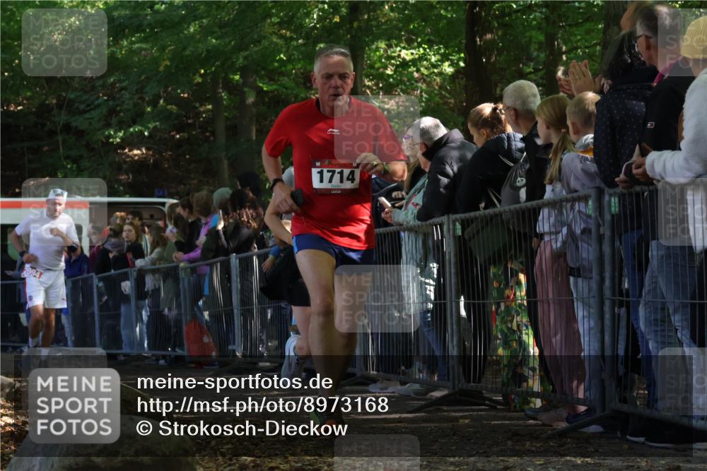 28.09.2025 - 33. Volkslauf durch das schöne Alstertal Strokosch-Dieckow http://msf.ph/oto/8973168 28.09.2025 12:12:43 Ziel 1041, 1714, 2094 meine-sportfotos.de