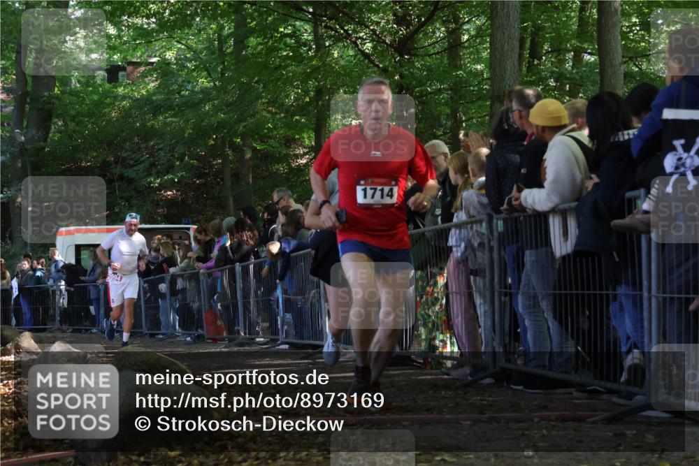 28.09.2025 - 33. Volkslauf durch das schöne Alstertal Strokosch-Dieckow http://msf.ph/oto/8973169 28.09.2025 12:12:43 Ziel 1041, 1714, 2094 meine-sportfotos.de