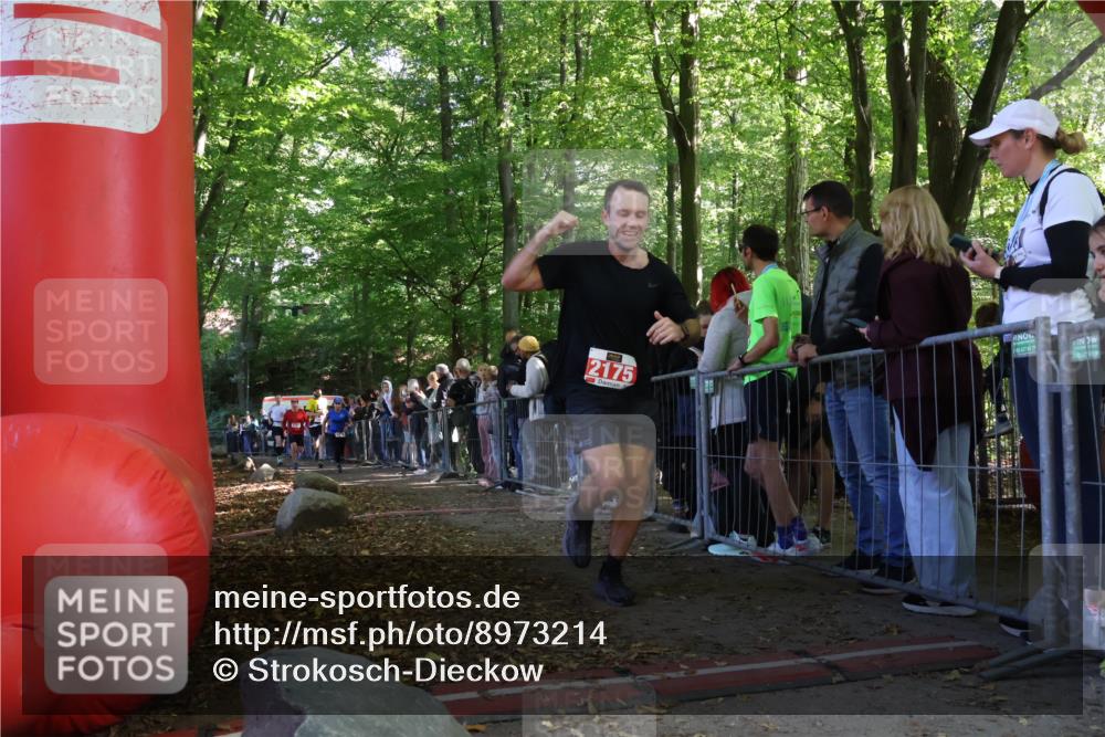 28.09.2025 - 33. Volkslauf durch das schöne Alstertal Strokosch-Dieckow http://msf.ph/oto/8973214 28.09.2025 12:14:07 Ziel 1076, 1720, 1733, 2017, 2175 meine-sportfotos.de