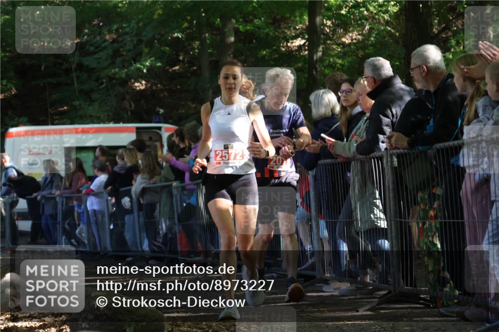 28.09.2025 - 33. Volkslauf durch das schöne Alstertal Strokosch-Dieckow http://msf.ph/oto/8973227 28.09.2025 12:14:26 Ziel 2019, 2340, 2572 meine-sportfotos.de