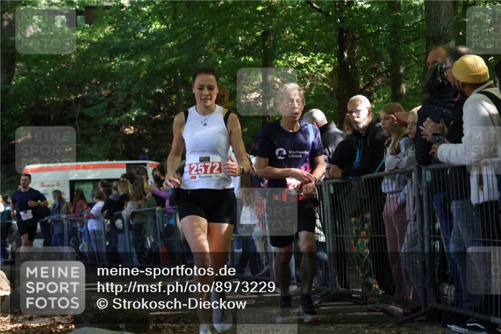 28.09.2025 - 33. Volkslauf durch das schöne Alstertal Strokosch-Dieckow http://msf.ph/oto/8973229 28.09.2025 12:14:27 Ziel 2019, 2340, 2572 meine-sportfotos.de