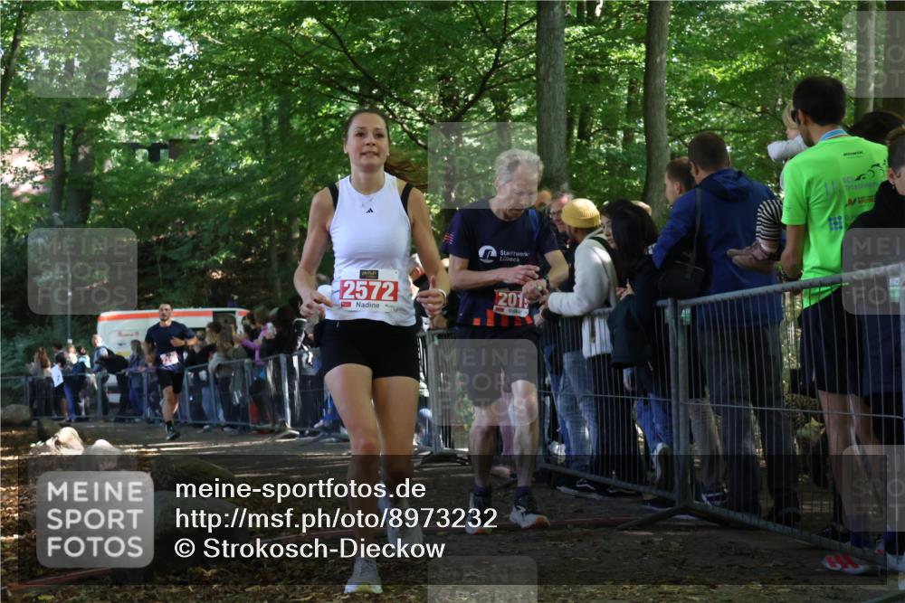 28.09.2025 - 33. Volkslauf durch das schöne Alstertal Strokosch-Dieckow http://msf.ph/oto/8973232 28.09.2025 12:14:28 Ziel 2019, 2340, 2572 meine-sportfotos.de