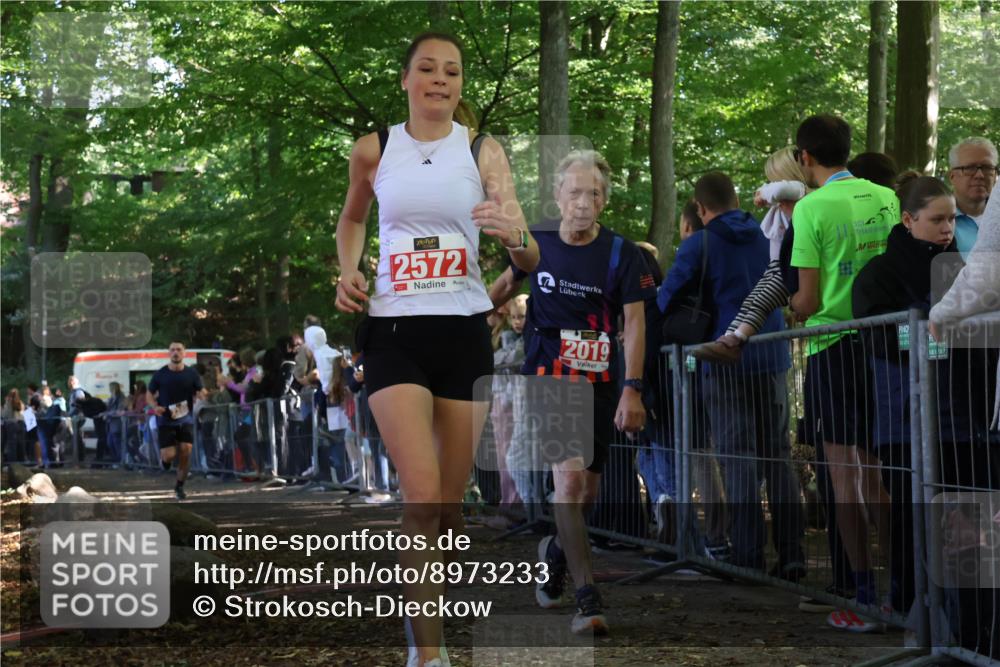 28.09.2025 - 33. Volkslauf durch das schöne Alstertal Strokosch-Dieckow http://msf.ph/oto/8973233 28.09.2025 12:14:29 Ziel 1056, 2019, 2340 meine-sportfotos.de