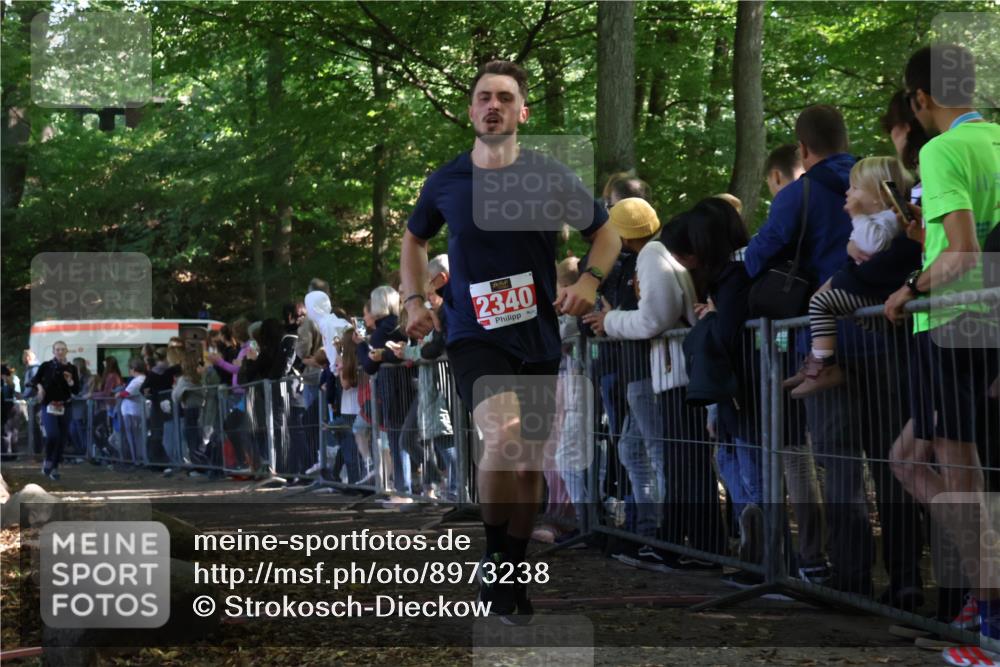 28.09.2025 - 33. Volkslauf durch das schöne Alstertal Strokosch-Dieckow http://msf.ph/oto/8973238 28.09.2025 12:14:32 Ziel 1056, 1086, 1730, 2340 meine-sportfotos.de