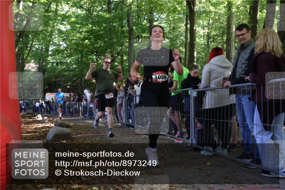 28.09.2025 - 33. Volkslauf durch das schöne Alstertal Strokosch-Dieckow http://msf.ph/oto/8973249 28.09.2025 12:14:41 Ziel 1730, 2324, 2999 meine-sportfotos.de