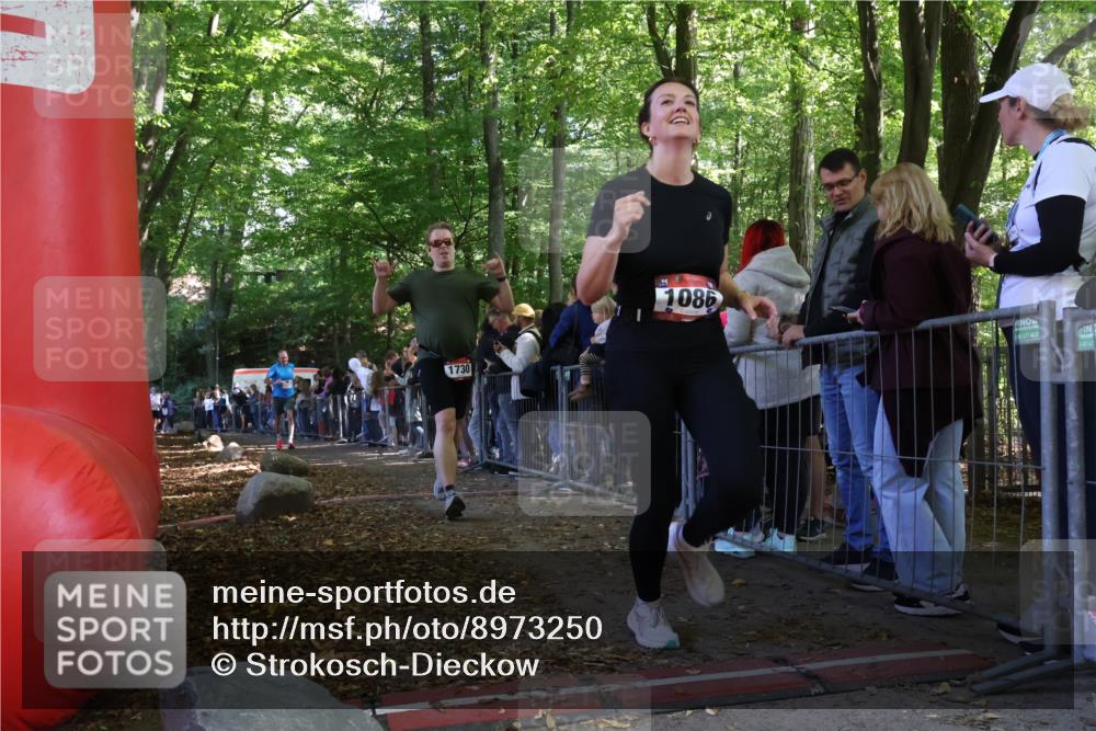 28.09.2025 - 33. Volkslauf durch das schöne Alstertal Strokosch-Dieckow http://msf.ph/oto/8973250 28.09.2025 12:14:41 Ziel 1730, 2324, 2999 meine-sportfotos.de