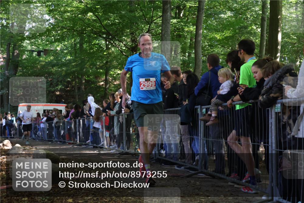 28.09.2025 - 33. Volkslauf durch das schöne Alstertal Strokosch-Dieckow http://msf.ph/oto/8973255 28.09.2025 12:14:45 Ziel 2235, 2324, 2999 meine-sportfotos.de