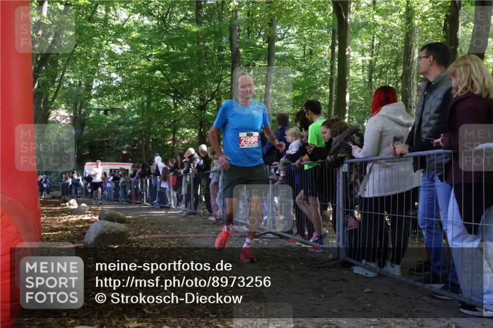 28.09.2025 - 33. Volkslauf durch das schöne Alstertal Strokosch-Dieckow http://msf.ph/oto/8973256 28.09.2025 12:14:46 Ziel 2235, 2324, 2999 meine-sportfotos.de