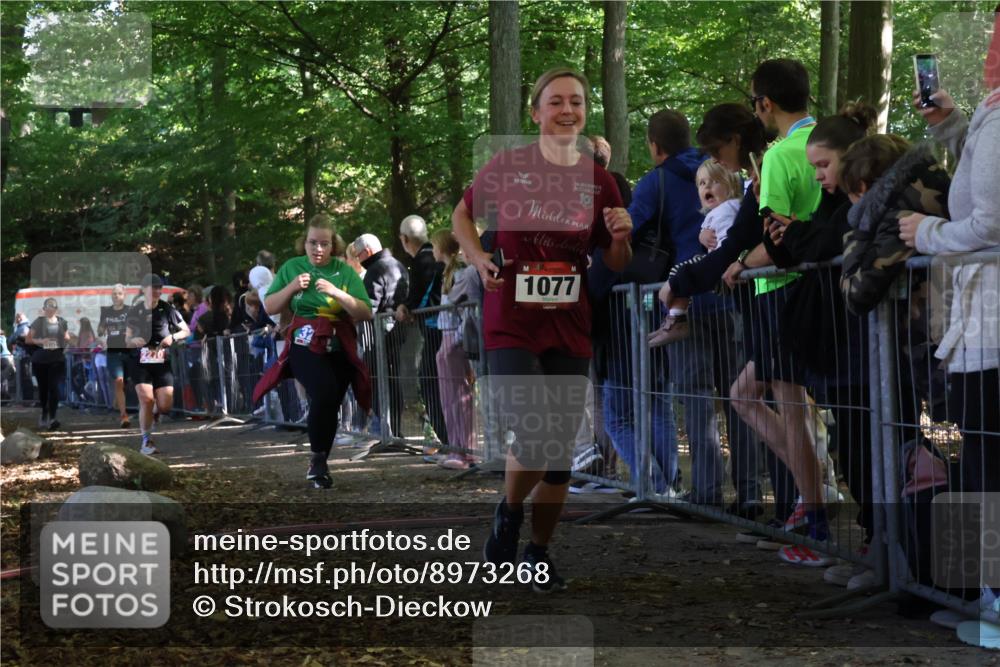 28.09.2025 - 33. Volkslauf durch das schöne Alstertal Strokosch-Dieckow http://msf.ph/oto/8973268 28.09.2025 12:15:01 Ziel 1059, 1077, 2270, 3206 meine-sportfotos.de