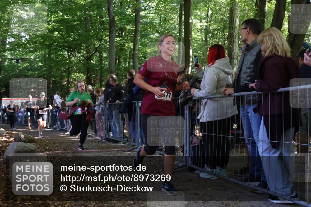 28.09.2025 - 33. Volkslauf durch das schöne Alstertal Strokosch-Dieckow http://msf.ph/oto/8973269 28.09.2025 12:15:02 Ziel 1059, 2270, 3206 meine-sportfotos.de