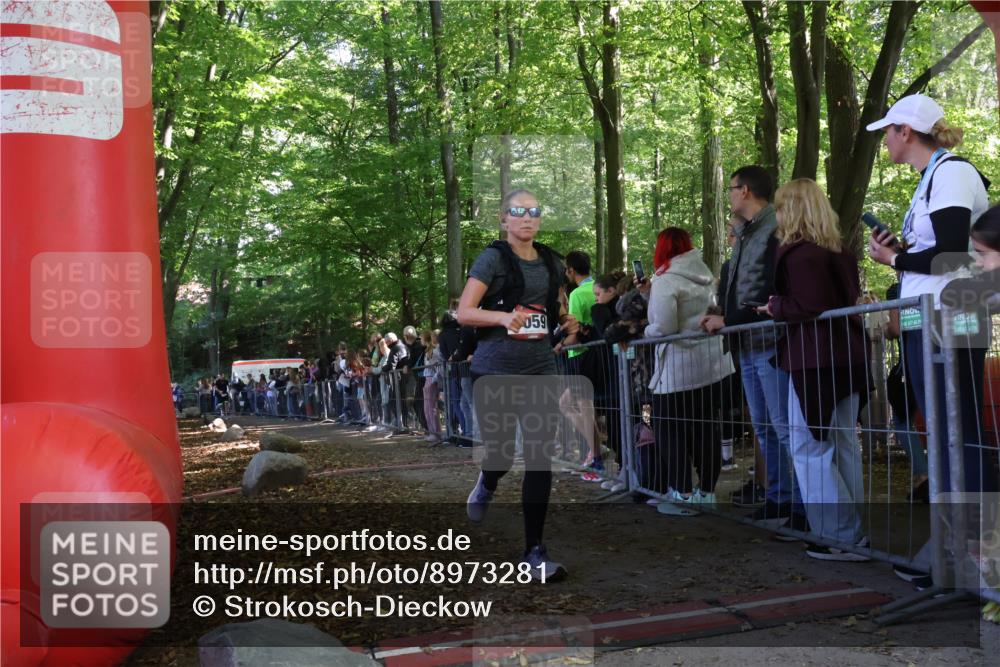 28.09.2025 - 33. Volkslauf durch das schöne Alstertal Strokosch-Dieckow http://msf.ph/oto/8973281 28.09.2025 12:15:09 Ziel 2451 meine-sportfotos.de