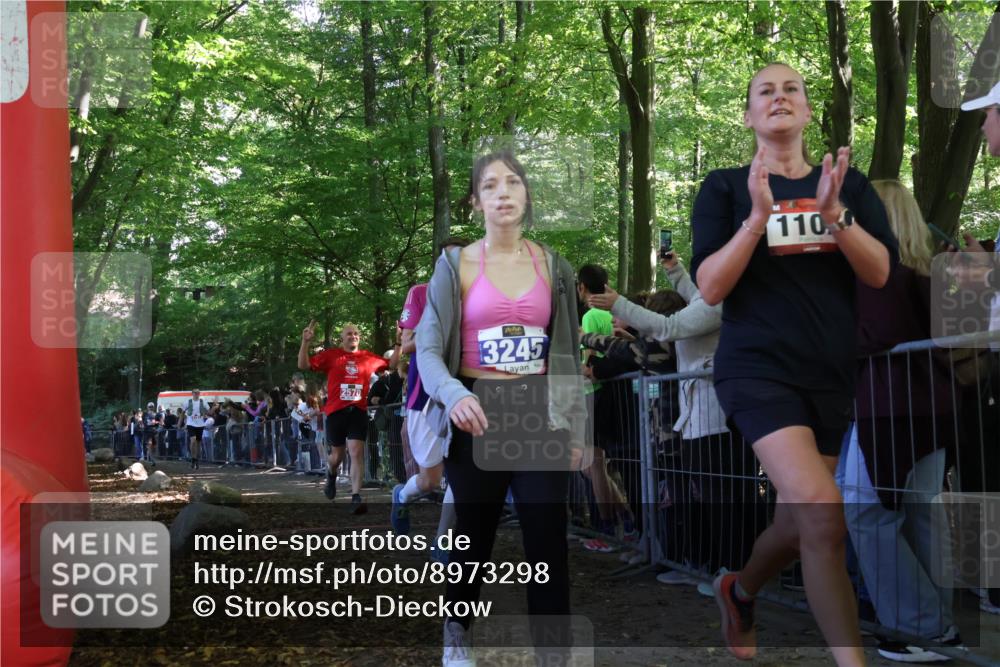 28.09.2025 - 33. Volkslauf durch das schöne Alstertal Strokosch-Dieckow http://msf.ph/oto/8973298 28.09.2025 12:15:30 Ziel 1687, 2191, 2570, 2593 meine-sportfotos.de