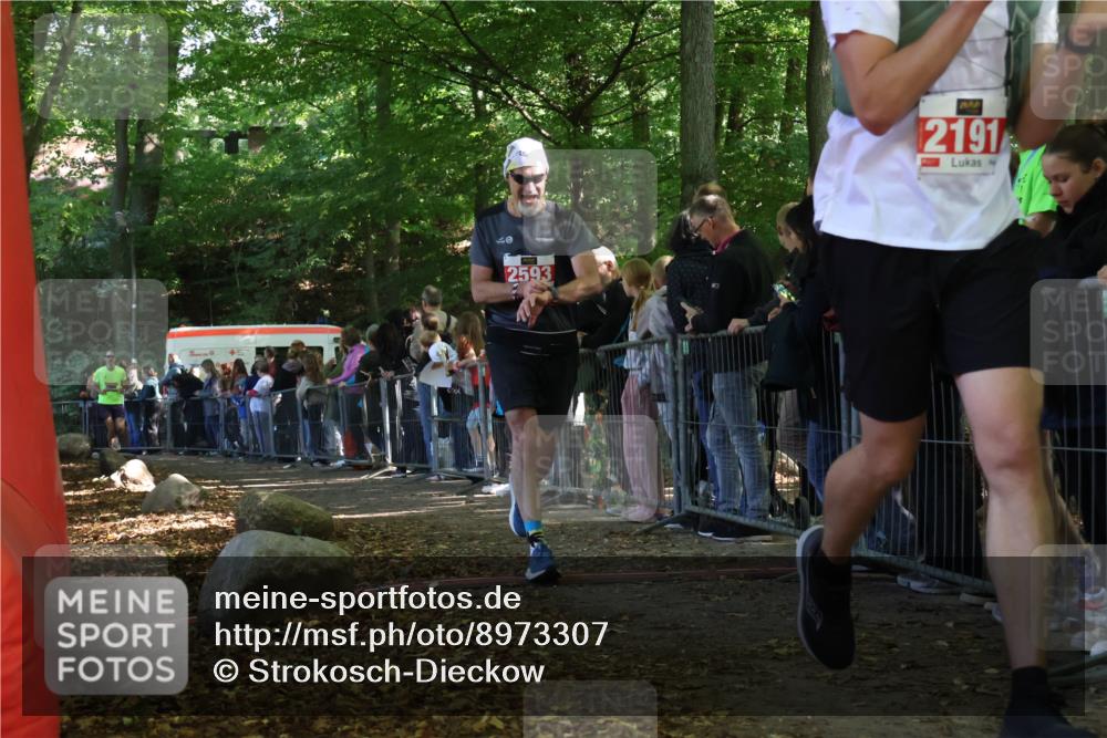 28.09.2025 - 33. Volkslauf durch das schöne Alstertal Strokosch-Dieckow http://msf.ph/oto/8973307 28.09.2025 12:15:36 Ziel 1666, 2191, 2593 meine-sportfotos.de