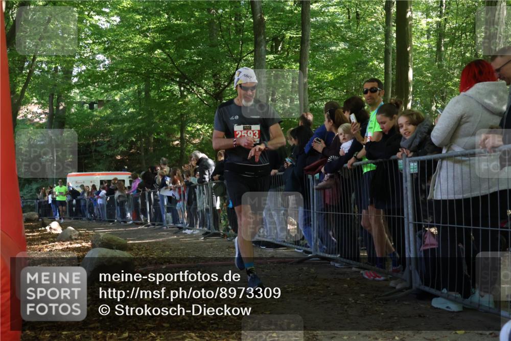 28.09.2025 - 33. Volkslauf durch das schöne Alstertal Strokosch-Dieckow http://msf.ph/oto/8973309 28.09.2025 12:15:37 Ziel 1666, 2166, 2593 meine-sportfotos.de
