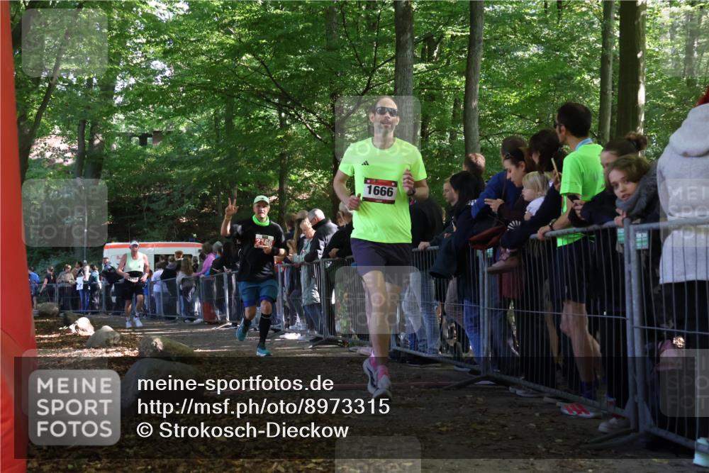 28.09.2025 - 33. Volkslauf durch das schöne Alstertal Strokosch-Dieckow http://msf.ph/oto/8973315 28.09.2025 12:15:45 Ziel 1666, 1718, 2166 meine-sportfotos.de