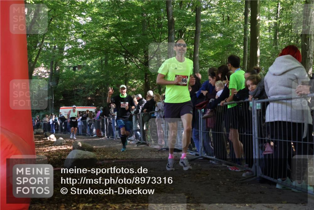 28.09.2025 - 33. Volkslauf durch das schöne Alstertal Strokosch-Dieckow http://msf.ph/oto/8973316 28.09.2025 12:15:45 Ziel 1666, 1718, 2166 meine-sportfotos.de