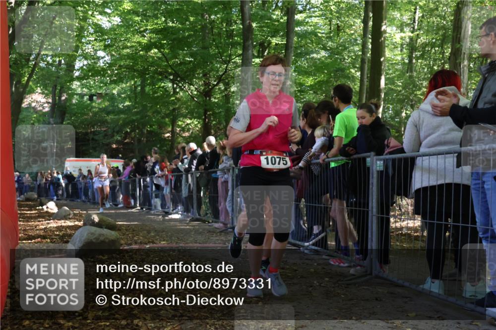 28.09.2025 - 33. Volkslauf durch das schöne Alstertal Strokosch-Dieckow http://msf.ph/oto/8973331 28.09.2025 12:16:02 Ziel 1075, 1093, 2300 meine-sportfotos.de