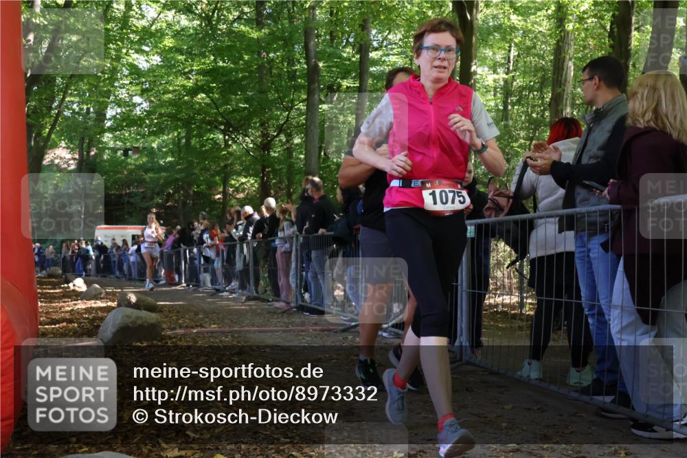 28.09.2025 - 33. Volkslauf durch das schöne Alstertal Strokosch-Dieckow http://msf.ph/oto/8973332 28.09.2025 12:16:03 Ziel 1093, 2443 meine-sportfotos.de