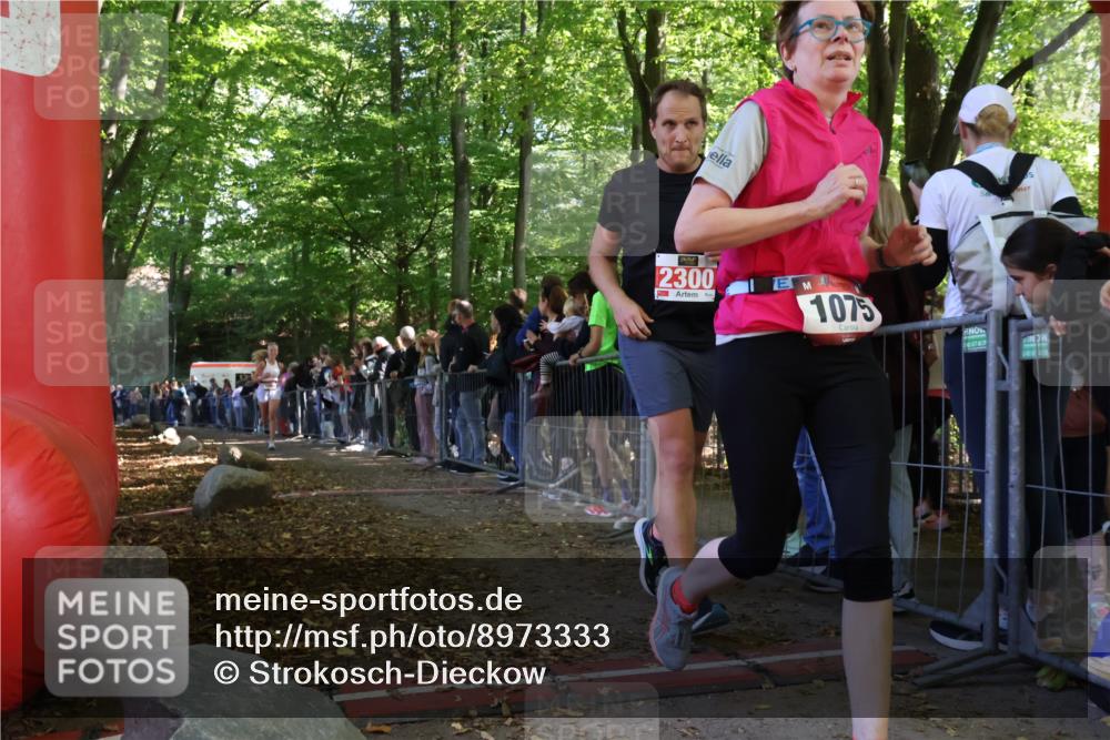 28.09.2025 - 33. Volkslauf durch das schöne Alstertal Strokosch-Dieckow http://msf.ph/oto/8973333 28.09.2025 12:16:03 Ziel 1093, 2443 meine-sportfotos.de