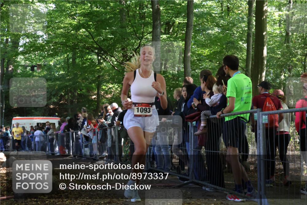 28.09.2025 - 33. Volkslauf durch das schöne Alstertal Strokosch-Dieckow http://msf.ph/oto/8973337 28.09.2025 12:16:07 Ziel 1093, 2443 meine-sportfotos.de