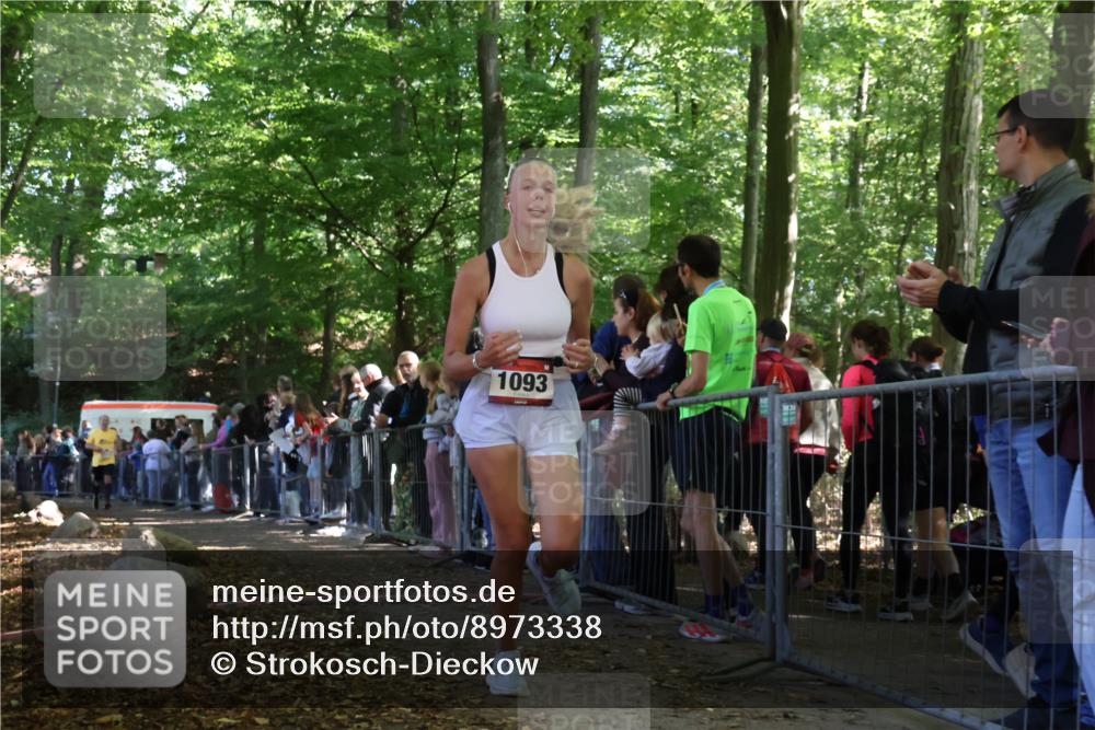28.09.2025 - 33. Volkslauf durch das schöne Alstertal Strokosch-Dieckow http://msf.ph/oto/8973338 28.09.2025 12:16:07 Ziel 1093, 2443 meine-sportfotos.de