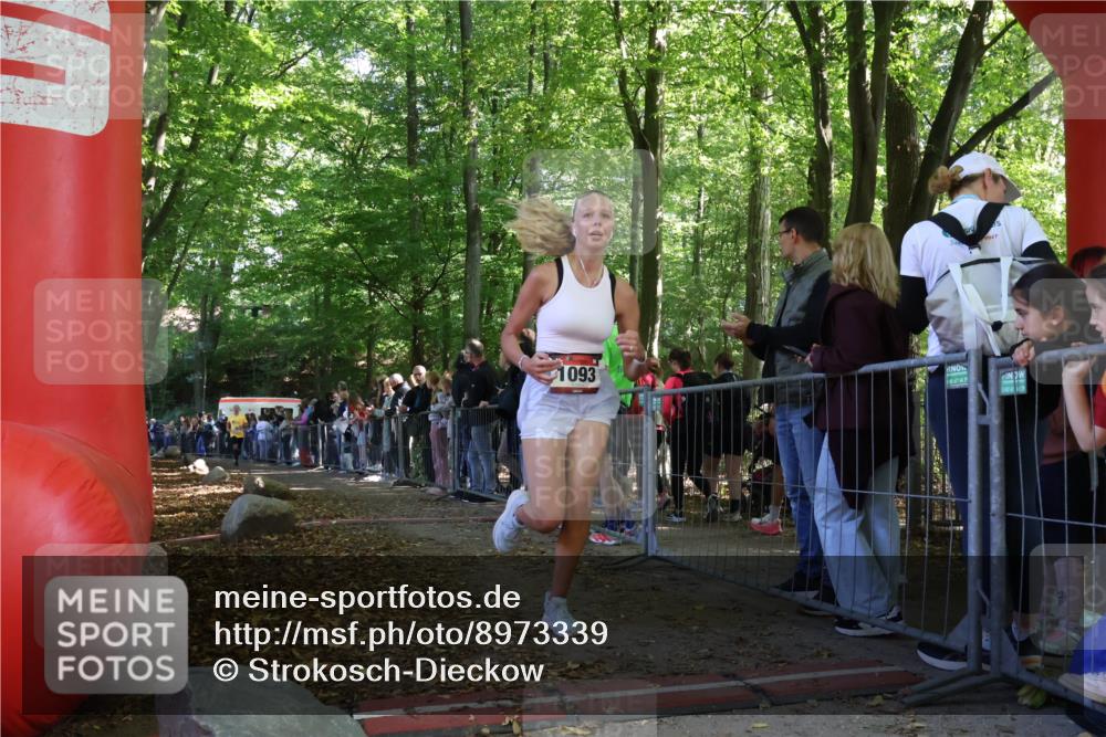 28.09.2025 - 33. Volkslauf durch das schöne Alstertal Strokosch-Dieckow http://msf.ph/oto/8973339 28.09.2025 12:16:07 Ziel 1093, 2443 meine-sportfotos.de