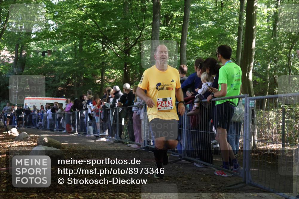 28.09.2025 - 33. Volkslauf durch das schöne Alstertal Strokosch-Dieckow http://msf.ph/oto/8973346 28.09.2025 12:16:13 Ziel 1732, 2098, 2443, 2614 meine-sportfotos.de