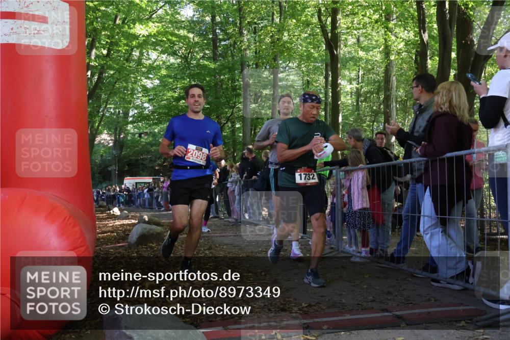 28.09.2025 - 33. Volkslauf durch das schöne Alstertal Strokosch-Dieckow http://msf.ph/oto/8973349 28.09.2025 12:16:23 Ziel 1073, 2098, 2614, 3101 meine-sportfotos.de