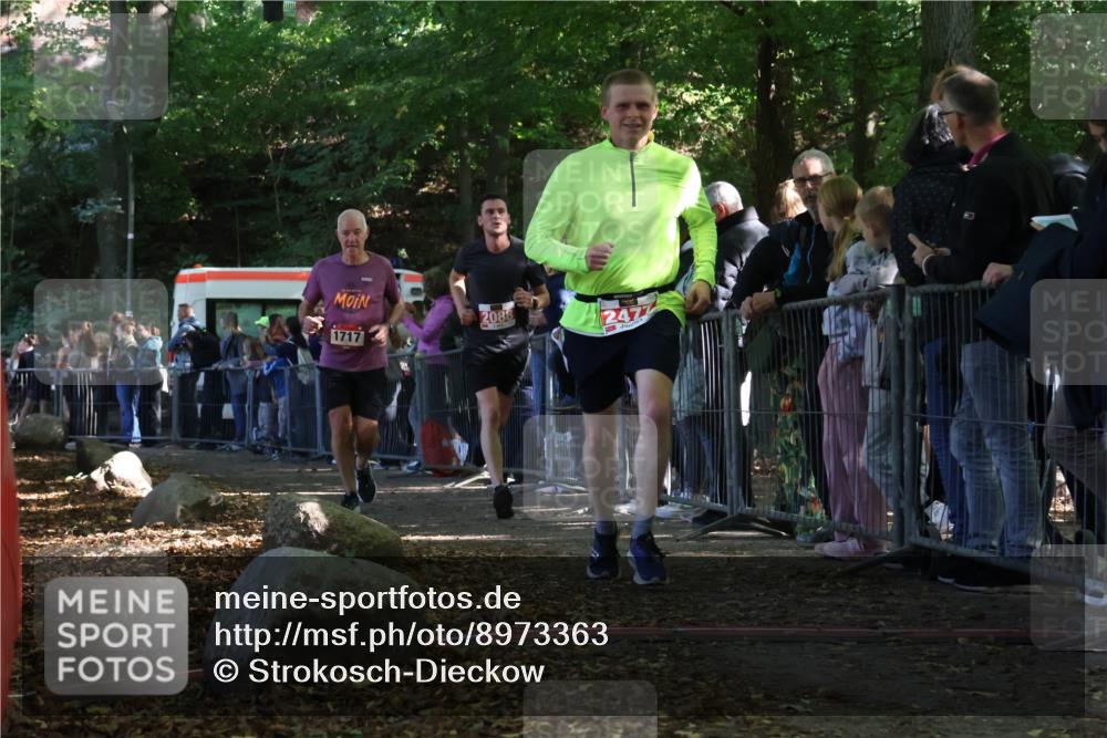 28.09.2025 - 33. Volkslauf durch das schöne Alstertal Strokosch-Dieckow http://msf.ph/oto/8973363 28.09.2025 12:16:36 Ziel 1717, 2088, 2477, 2638 meine-sportfotos.de