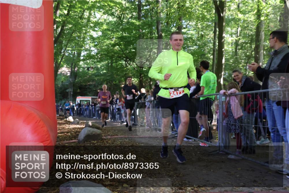 28.09.2025 - 33. Volkslauf durch das schöne Alstertal Strokosch-Dieckow http://msf.ph/oto/8973365 28.09.2025 12:16:38 Ziel 1717, 2088, 2477, 2638 meine-sportfotos.de
