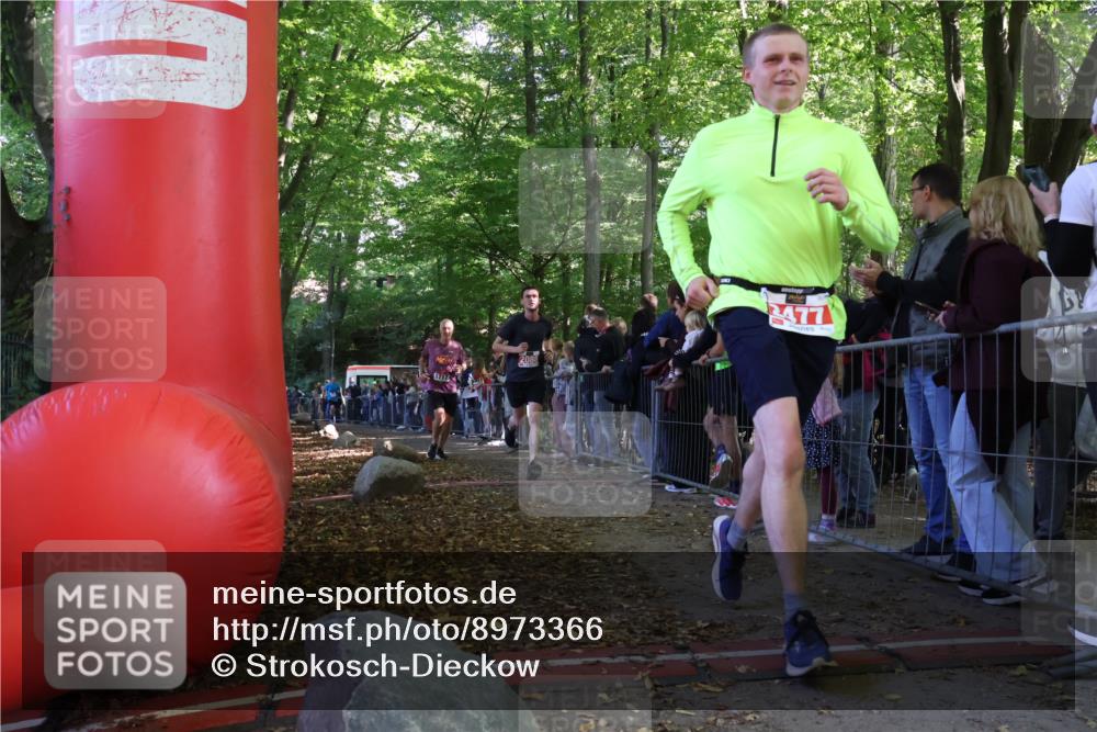 28.09.2025 - 33. Volkslauf durch das schöne Alstertal Strokosch-Dieckow http://msf.ph/oto/8973366 28.09.2025 12:16:38 Ziel 1717, 2088, 2477, 2638 meine-sportfotos.de