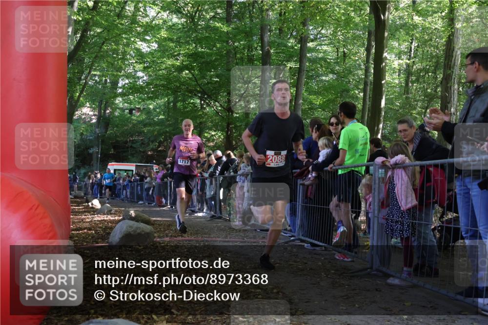 28.09.2025 - 33. Volkslauf durch das schöne Alstertal Strokosch-Dieckow http://msf.ph/oto/8973368 28.09.2025 12:16:39 Ziel 1717, 2088, 2638 meine-sportfotos.de