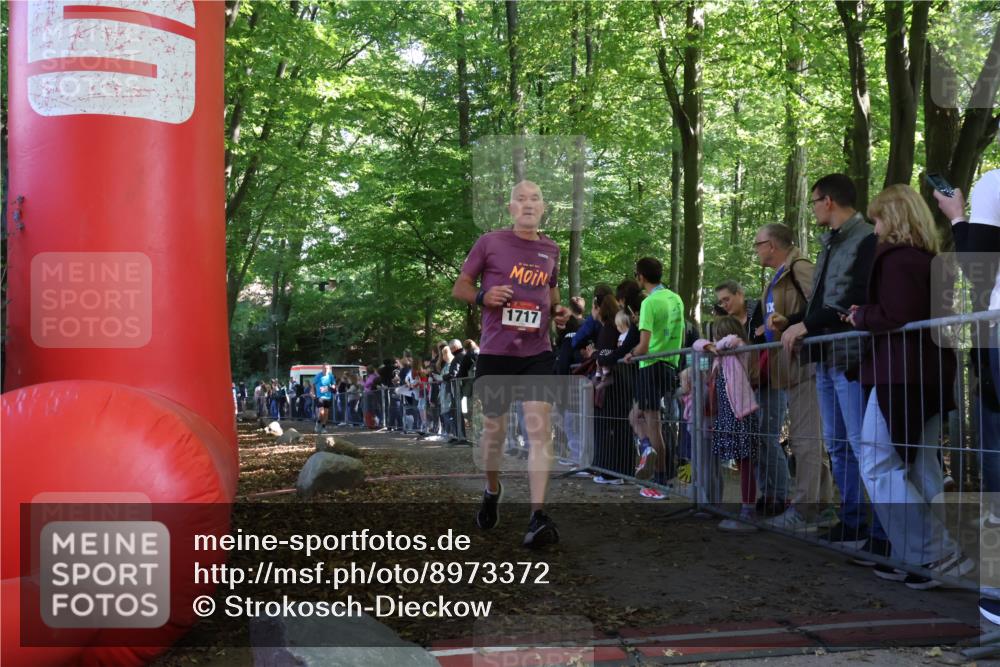 28.09.2025 - 33. Volkslauf durch das schöne Alstertal Strokosch-Dieckow http://msf.ph/oto/8973372 28.09.2025 12:16:41 Ziel 2116, 2117, 2638 meine-sportfotos.de