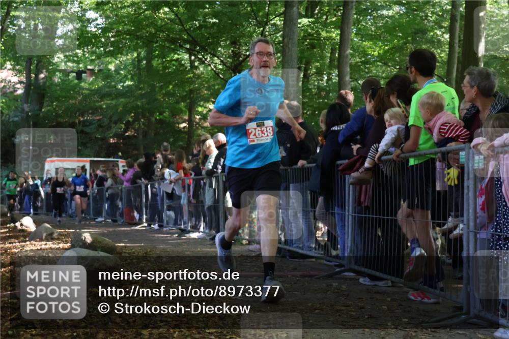 28.09.2025 - 33. Volkslauf durch das schöne Alstertal Strokosch-Dieckow http://msf.ph/oto/8973377 28.09.2025 12:16:45 Ziel 2116, 2117, 2638, 2655 meine-sportfotos.de