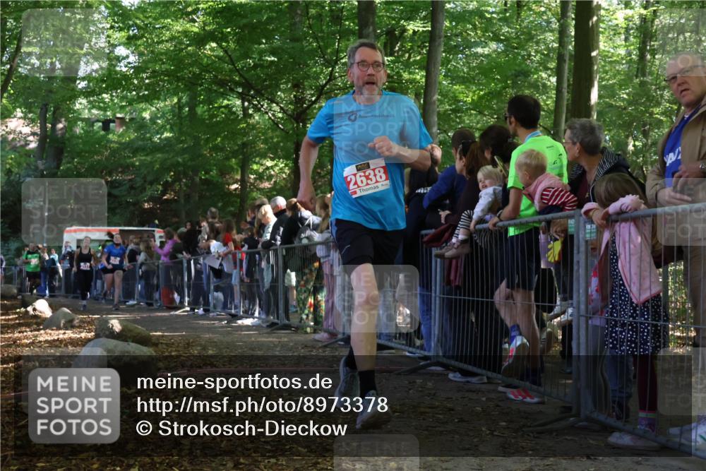 28.09.2025 - 33. Volkslauf durch das schöne Alstertal Strokosch-Dieckow http://msf.ph/oto/8973378 28.09.2025 12:16:45 Ziel 2116, 2117, 2638, 2655 meine-sportfotos.de