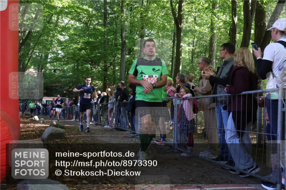 28.09.2025 - 33. Volkslauf durch das schöne Alstertal Strokosch-Dieckow http://msf.ph/oto/8973390 28.09.2025 12:16:55 Ziel 1716, 2129, 2200, 2466, 2634, 2655 meine-sportfotos.de