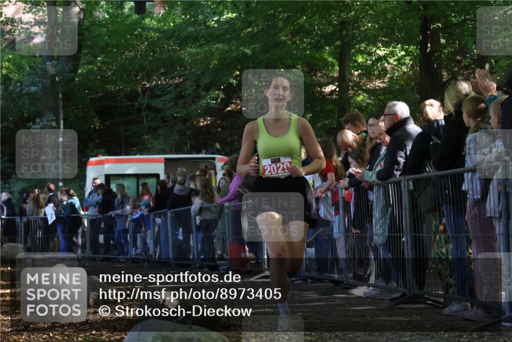 28.09.2025 - 33. Volkslauf durch das schöne Alstertal Strokosch-Dieckow http://msf.ph/oto/8973405 28.09.2025 12:17:07 Ziel 2029 meine-sportfotos.de