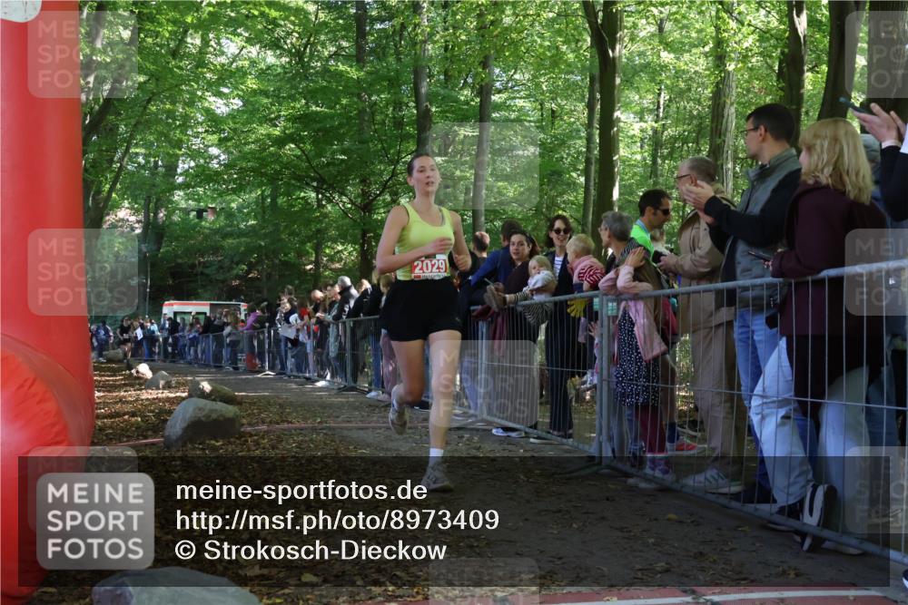 28.09.2025 - 33. Volkslauf durch das schöne Alstertal Strokosch-Dieckow http://msf.ph/oto/8973409 28.09.2025 12:17:09 Ziel 2029, 2212 meine-sportfotos.de