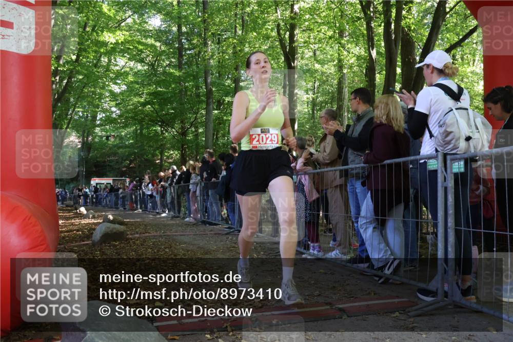28.09.2025 - 33. Volkslauf durch das schöne Alstertal Strokosch-Dieckow http://msf.ph/oto/8973410 28.09.2025 12:17:09 Ziel 2029, 2212 meine-sportfotos.de