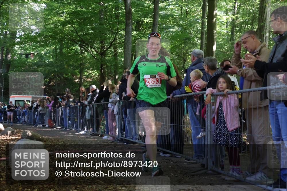 28.09.2025 - 33. Volkslauf durch das schöne Alstertal Strokosch-Dieckow http://msf.ph/oto/8973420 28.09.2025 12:17:25 Ziel 1122, 2243, 2536, 2653 meine-sportfotos.de